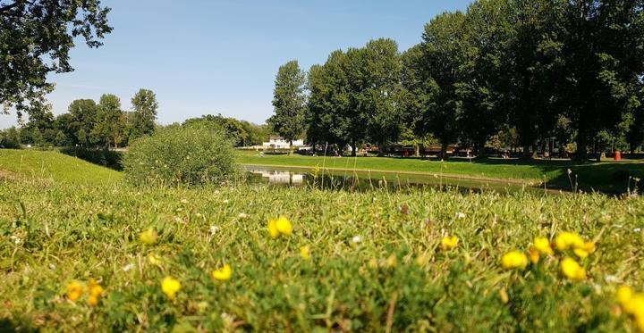 Rheinstrandbad Rappenwort Becker